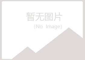 河池雁菱造纸有限公司